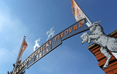 Street Food Festival | Pivovar Velké Popovice