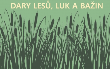 Dary lesů, luk a bažin | Muzeum Mladoboleslavska Dary lesů, luk a bažin | Muzeum Mladoboleslavska