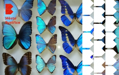 Výstava motýlů | Bystřice