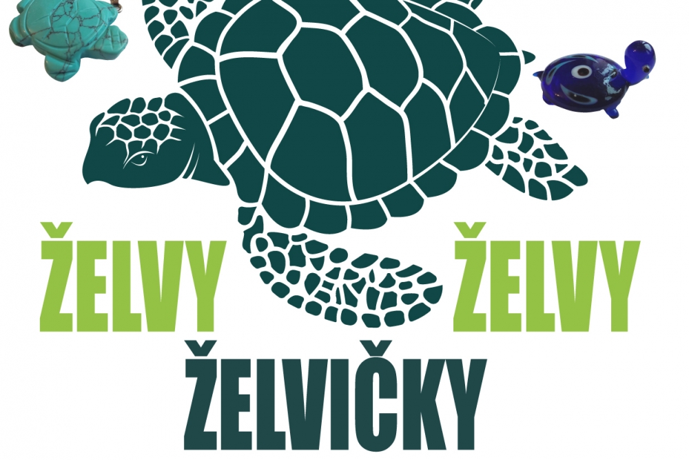 Želvy, želvy, želvičky | Regionální muzeum Jílové u Prahy