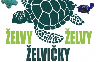 Želvy, želvy, želvičky | Regionální muzeum Jílové u Prahy
