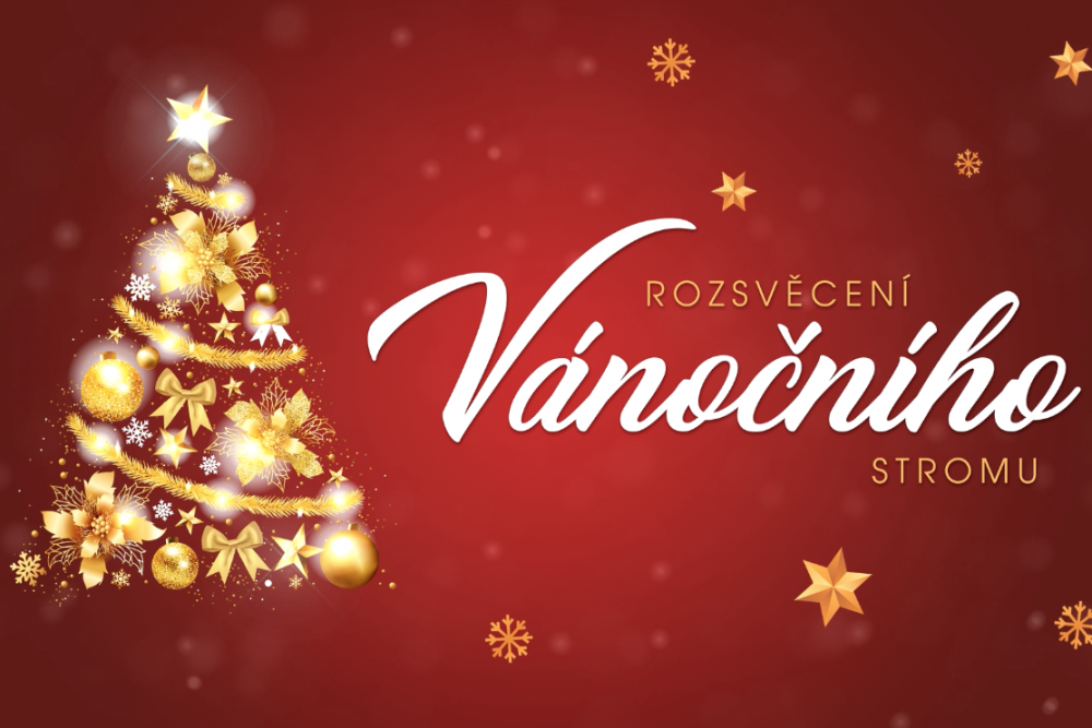 Rozsvěcení vánočního stromu | Kultura Mladá Boleslav