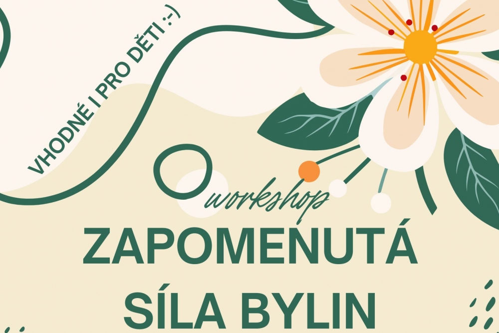 Zapomenutá síla bylin | Fara Dolní Krupá