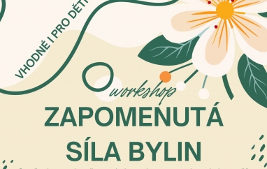 Zapomenutá síla bylin | Fara Dolní Krupá
