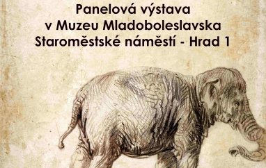 Rembrandtův slon v Mladé Boleslavi | Muzeum Mladoboleslavska