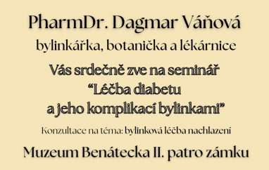 Setkání s bylinkářkou: léčba diabetu | Muzeum Benátecka