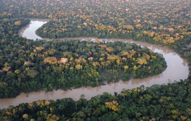 Amazonie - Tajemství pralesa | Mělnické kulturní centrum