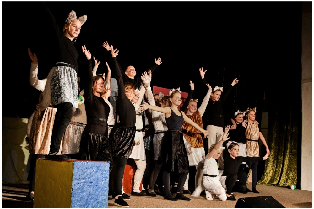 Kocourek Modroočko | Mělnické kulturní centrum